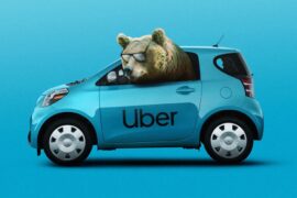 Bear looking out from a blue uber to show critical mass