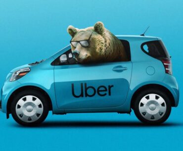 Bear looking out from a blue uber to show critical mass