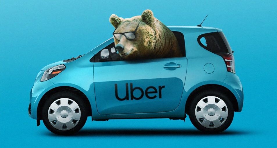 Bear looking out from a blue uber to show critical mass