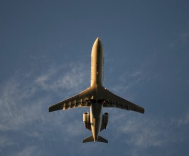 indigo airline company