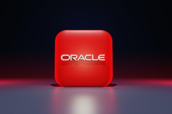 What does Oracle do? How does Oracle make money: Business Model